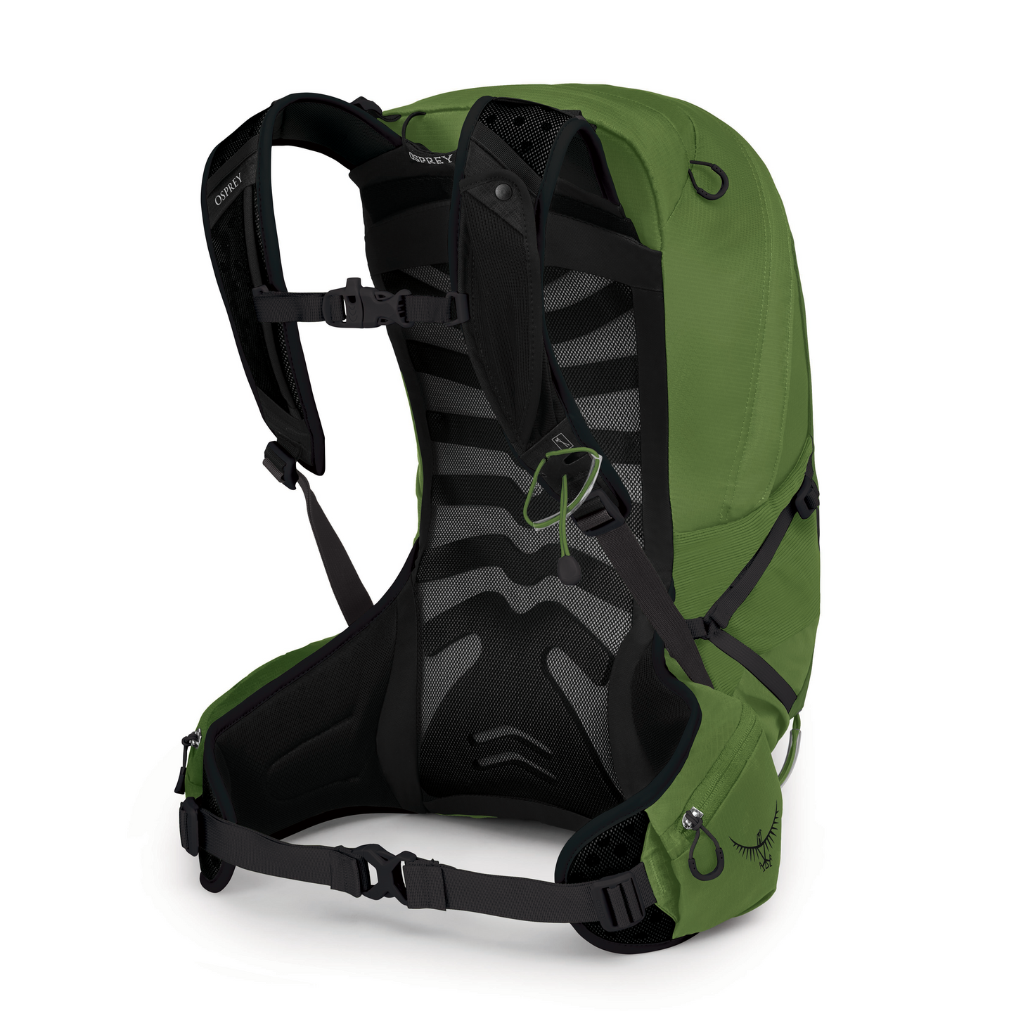 Osprey Talon 22 - Green